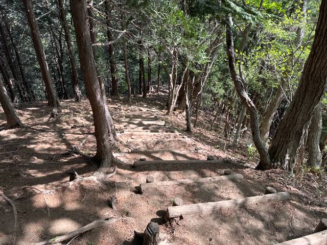 吾妻山から北への下り道