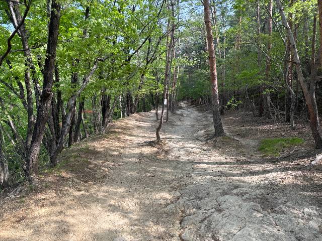 吾妻山登山道　水道山公園分岐付近