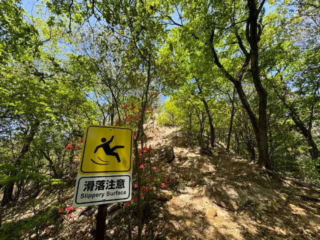 大小山（妙義山）手前の急坂の岩場と新緑