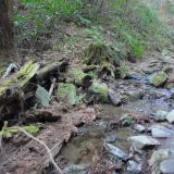 高尾山6号路 沢の上流部