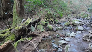 高尾山 渓流沿いに登る（6号路で上り、3号路・1号路で下り）3月中旬 日帰り早朝登山コースレポート