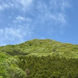 新緑で覆われる吾妻山