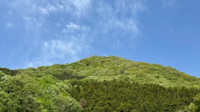 吾妻山 新緑とツツジ（吾妻山・堂所山・象頭山・村松峠周回コース）4月中旬 日帰り登山コースレポート