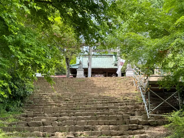 太田市金山 新田神社の新緑