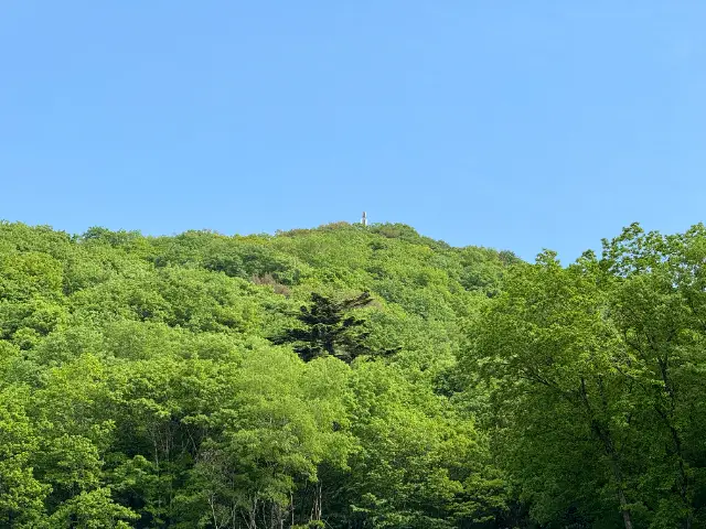 とちぎ花センターから三毳山（青竜ヶ岳）を眺める