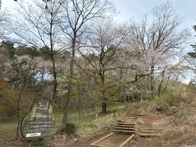 高尾山から一丁平へ