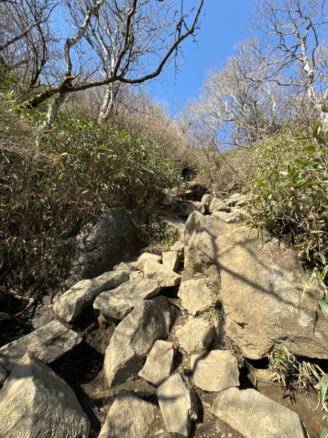 筑波山 白雲橋コース下り 女体山直下