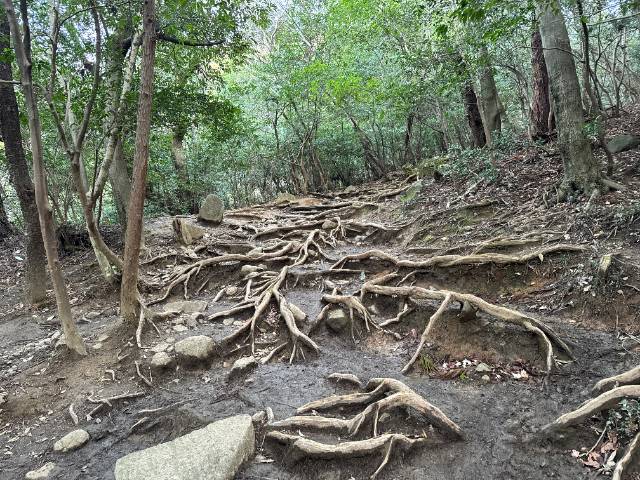 筑波山 御幸ヶ原コース 低高度