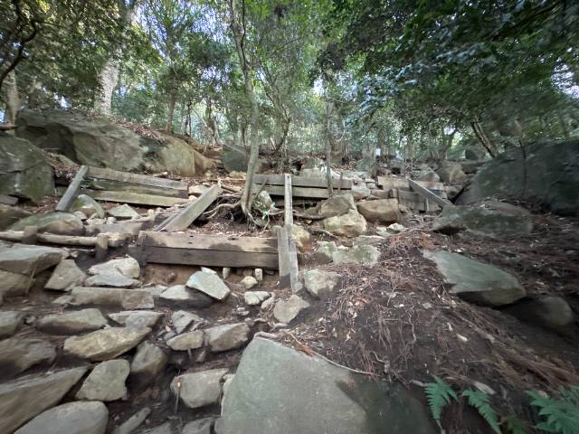 筑波山 御幸ヶ原コース中程