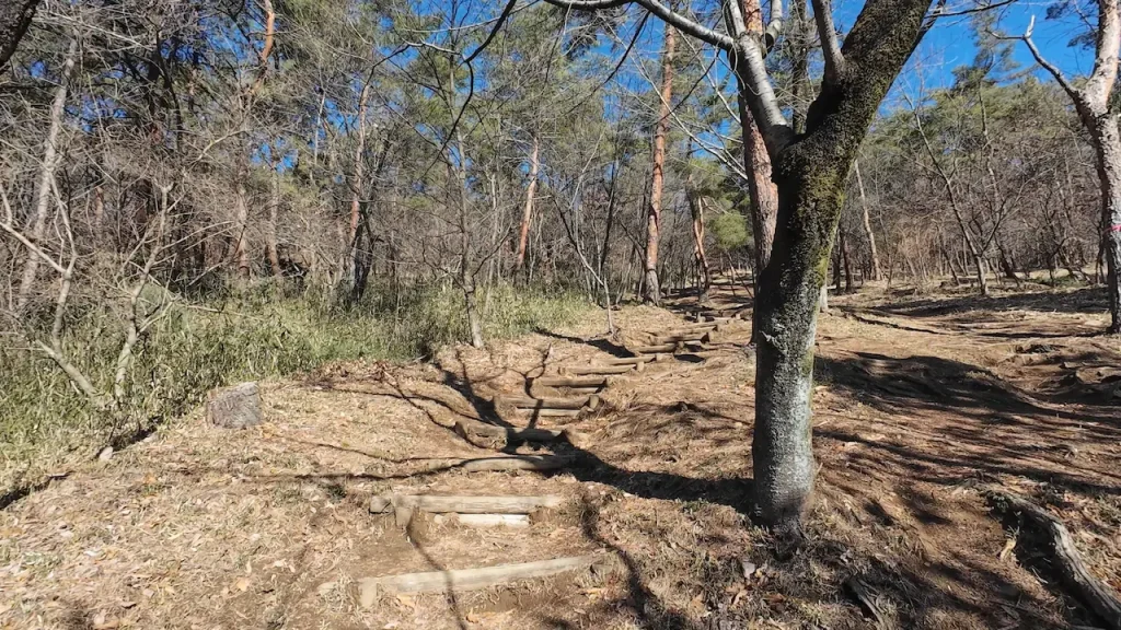 群馬県太田市金山の登山道1