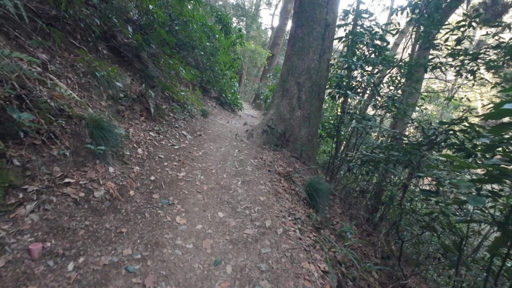 高尾山3号路