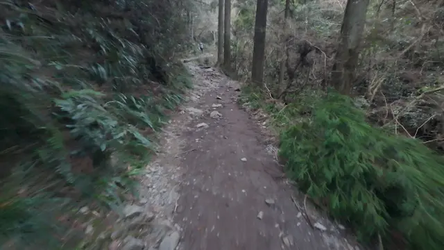 高尾山6号路上り 沢沿い