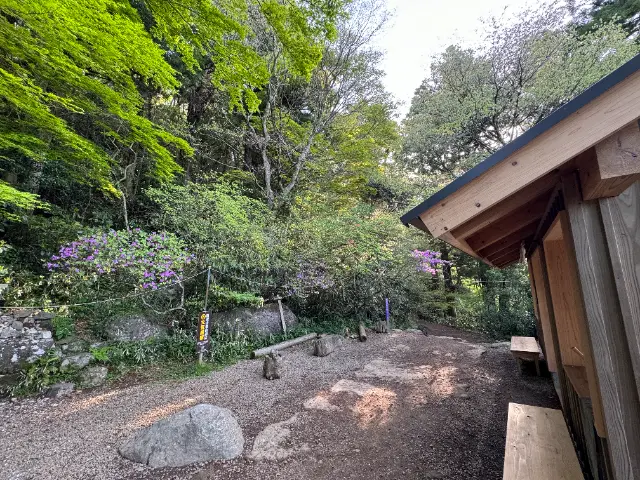 筑波山 白雲橋コース 弁慶茶屋跡での新緑