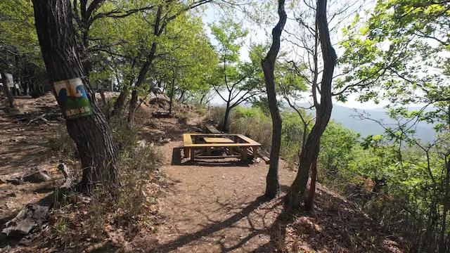 吾妻山の山頂の新緑の様子