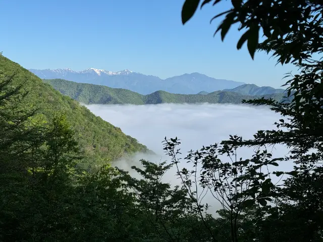 霧に覆われた本栖湖と南アルプス