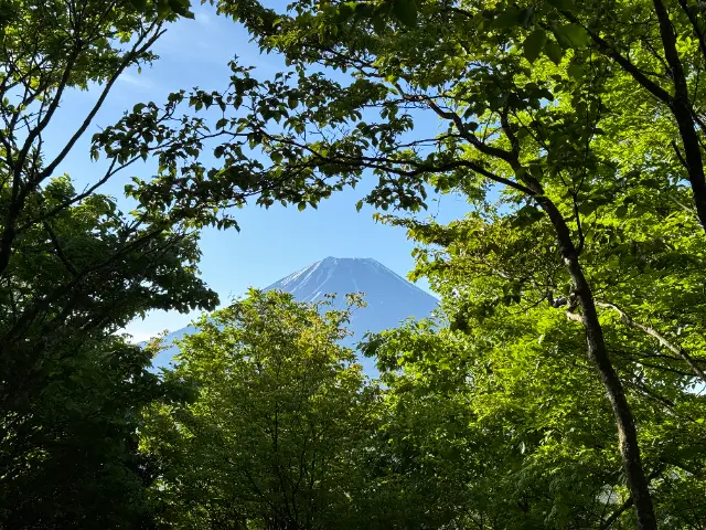 隙間から見える富士山