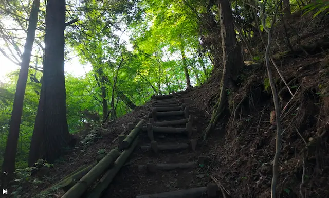 竜ヶ岳の登山道登り