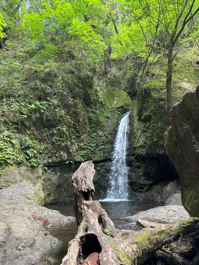 東京都御岳山七代の滝