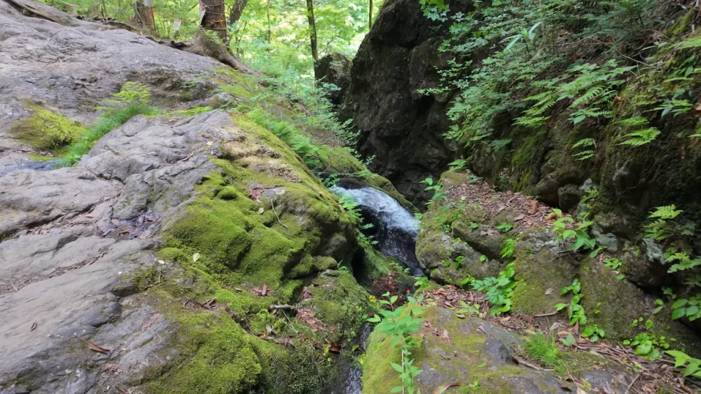 東京都御岳山七代の滝_危険箇所