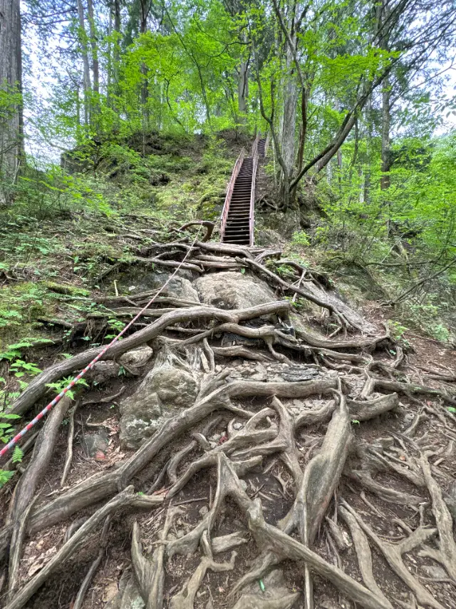 東京都御岳山_七代の滝からの登り