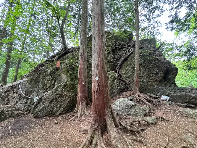 東京都御岳山の天狗岩