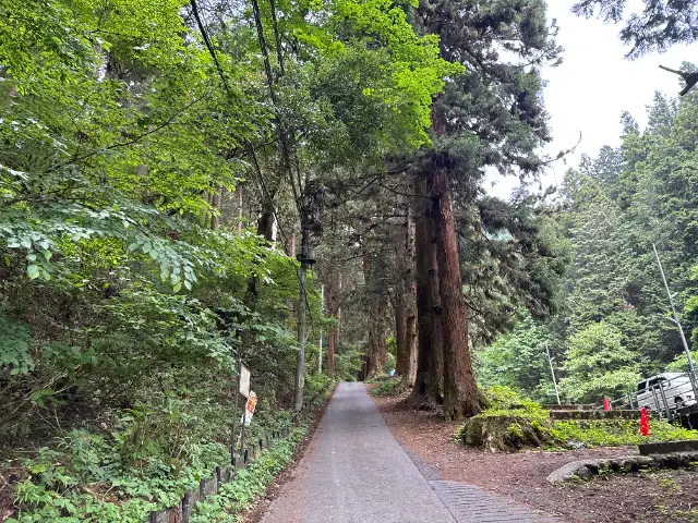 東京都御岳山参道登り始め