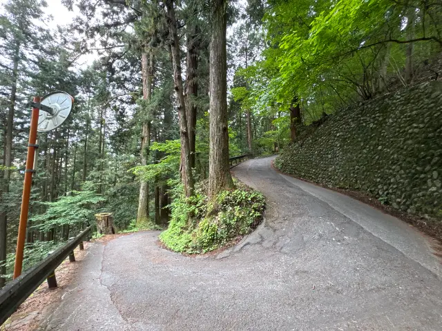 東京都御岳山 参道のつづら折り