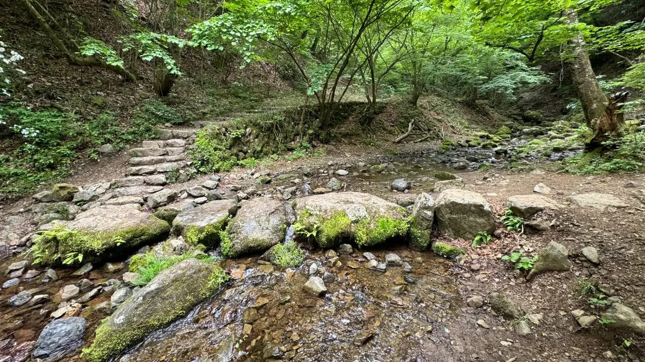 東京都御岳山ロックガーデン