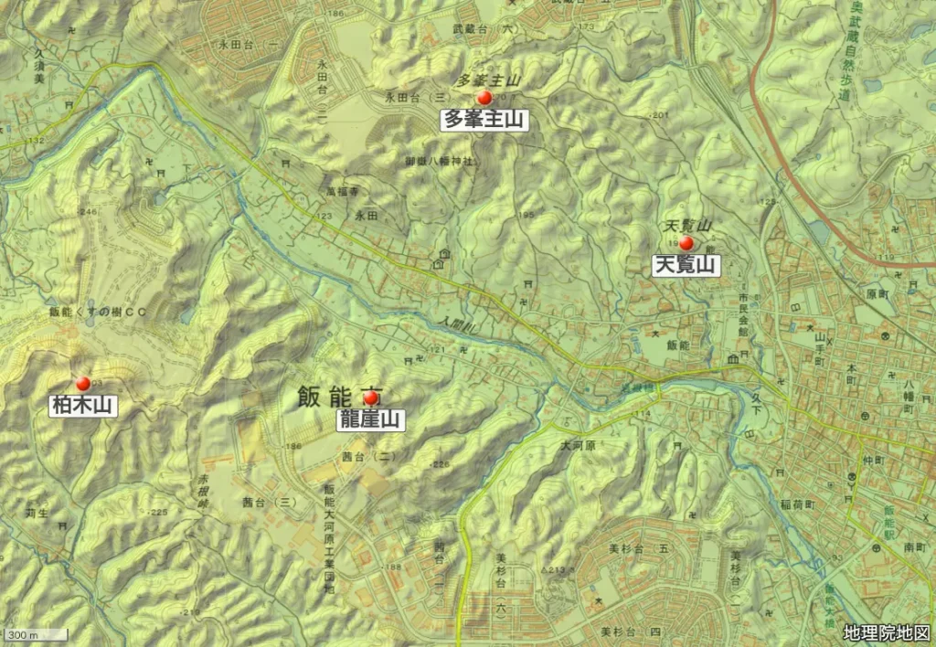 埼玉県_龍崖山_柏木山_多峯主山_天覧山の位置01