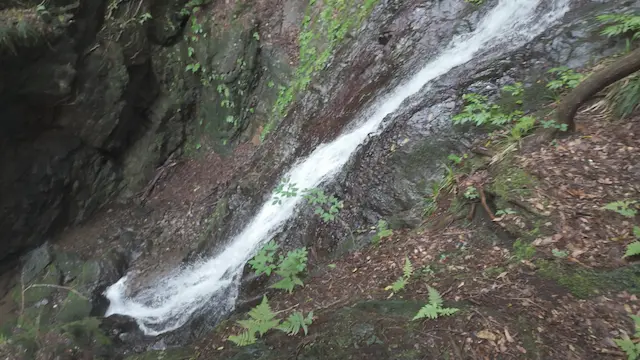 東京都_棒ノ折山_白谷沢_白孔雀の滝