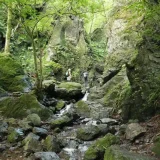 埼玉県_棒ノ折山の白谷沢のゴルジェ地形