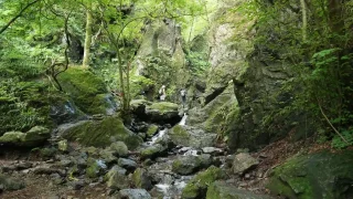 棒ノ折山・白谷沢のゴルジュ渓谷（峡谷）と白孔雀の滝 6月下旬 早朝登山コースレポート