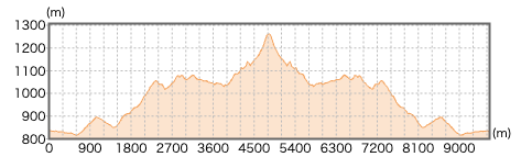 東京都_大岳山の登山コース断面図